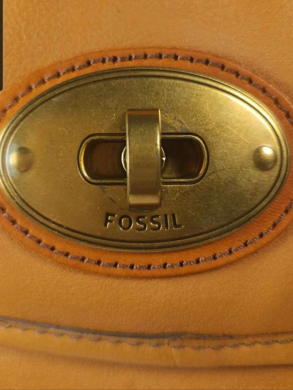 the Fossil 